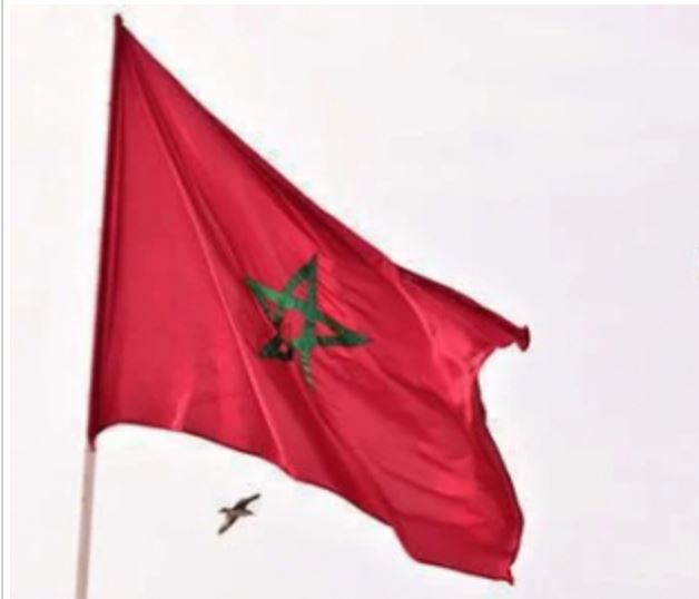 المغرب يؤكد استعداده لإعادة القاصرين غير المرفوقين ويدعو أوروبا إلى تجاوز العراقيل القانونية