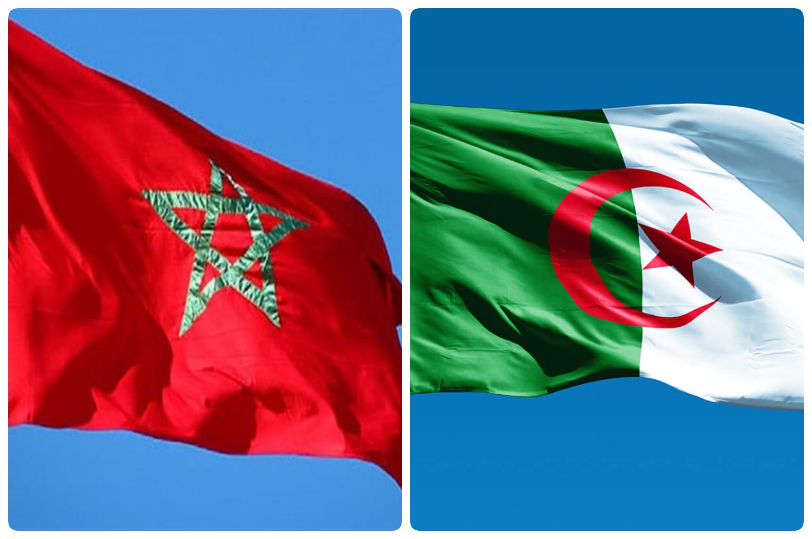 كريمة بنعبد الله: عواقب القطيعة بين الجزائر والمغرب على أوروبا