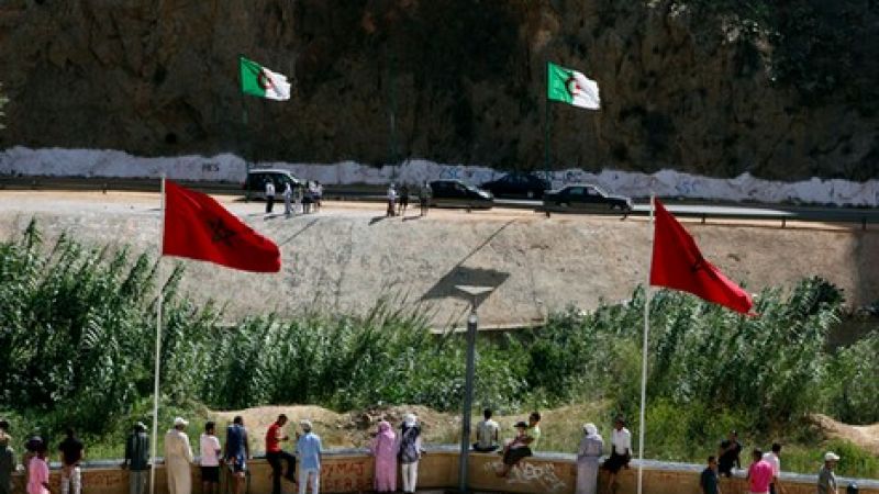 الجذور التاريخية للعداء الجزائري تجاه المغرب -مراد التقي