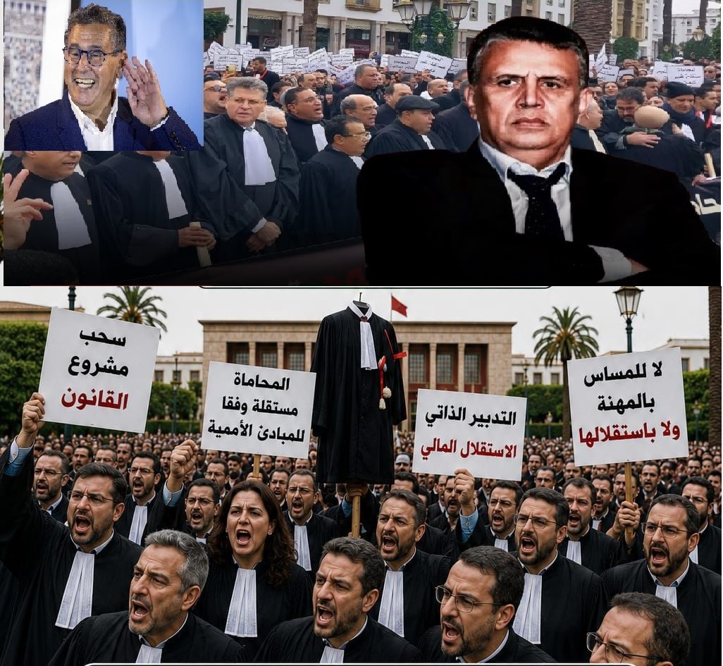 وقفة وطنية للمحامين أمام البرلمان.. رسائل قوية دفاعًا عن استقلالية المهنة وتحصين مكتسبات العدالة