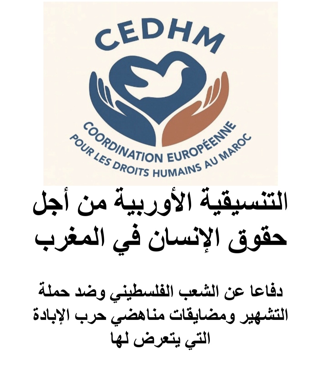 التنسيقية الأوروبية من أجل حقوق الإنسان في المغرب تعلن تضامنها مع مناهضي الحرب على غزة