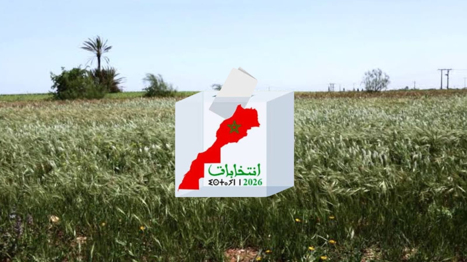 الانتخابات التشريعية.. ندرة المياه وارتفاع كلفة الإنتاج في صدارة انتظارات فلاحي دكالة