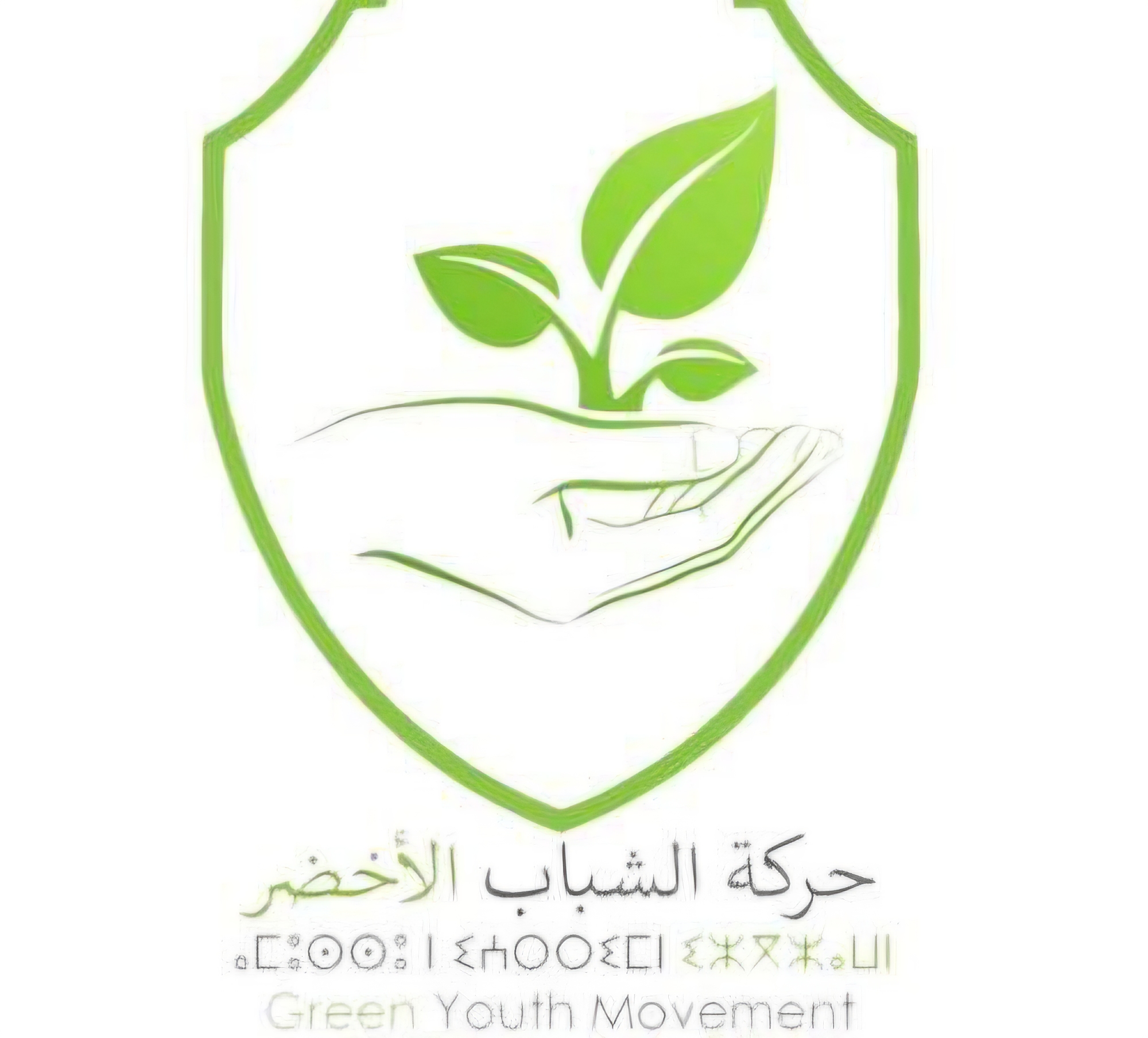حركة الشباب الأخضر تفتح ملفات بيئية شائكة بطنجة وتلوّح باللجوء إلى القضاء بشأن ملاعب البادل