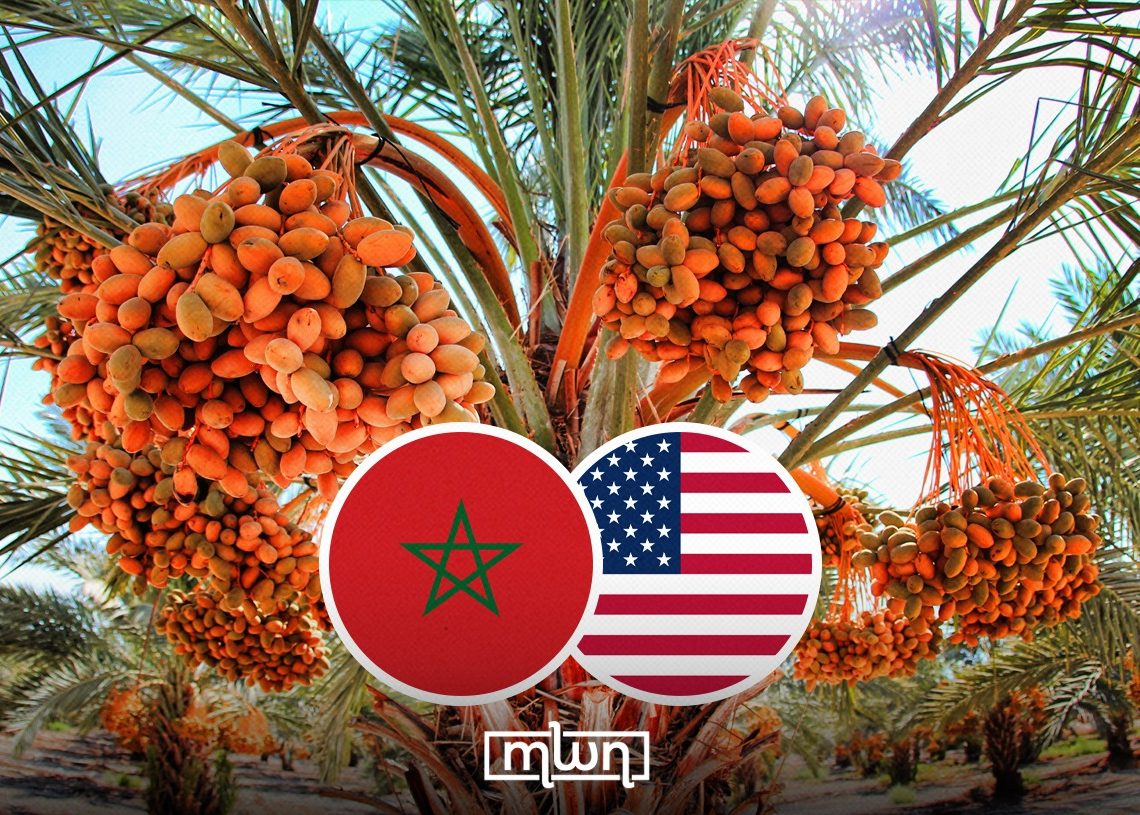 السفير الأطول خدمة:  كيف ربطت إحدى عشرة فسيلة من تمر المجهول المغربي بين صحراءين وأمتين؟  احساين إلحيان ترجمة : نيهاد القزوي